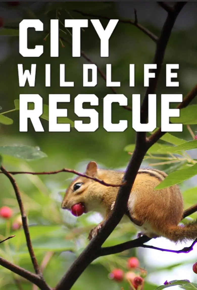 City Wildlife Rescue