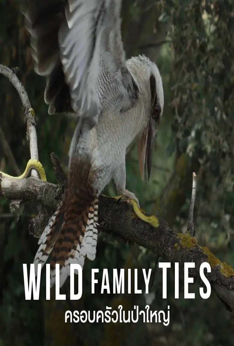 Wild Family Ties : ครอบครัวในป่าใหญ่