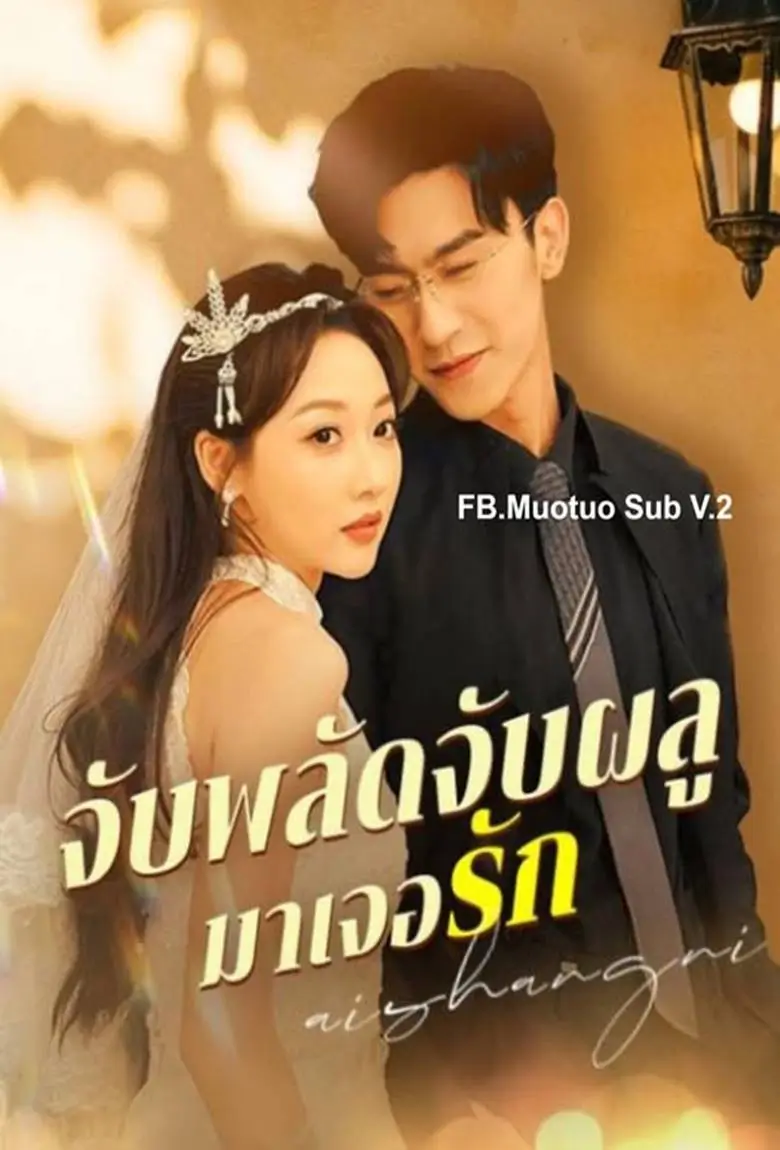 จับพลัดจับผลูมาเจอรัก