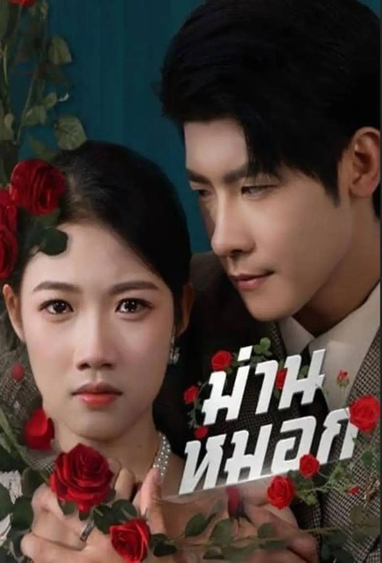 ม่านหมอก