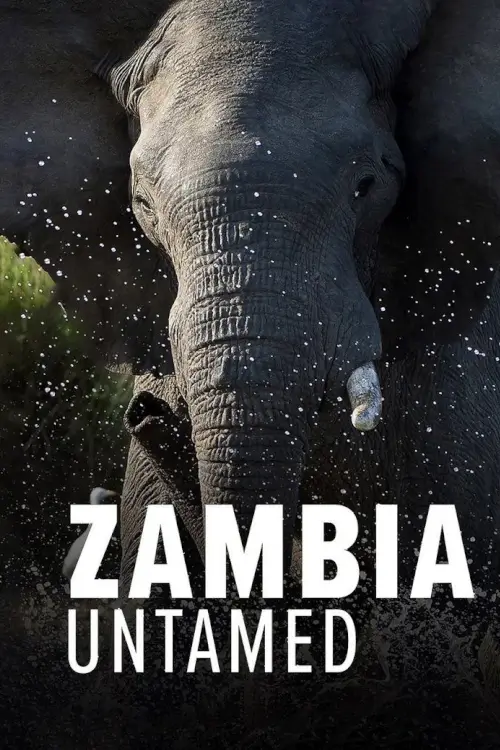 Zambia Untamed