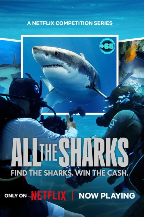 All the Sharks : เกมล่าหาฉลาม