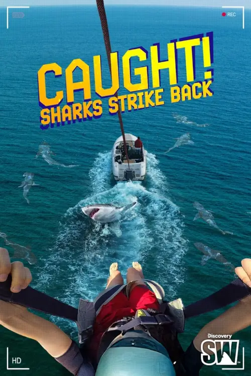 Caught! Sharks Strike Back | คาหนังคาเขา ฉลามเอาคืน