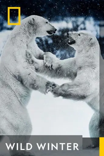 Wild Winter | แดนหิมะหฤโหด